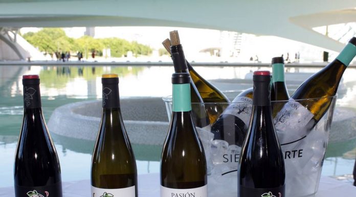 Més de 40 vins de la DOP València tanquen el curs amb excel·lent Valencia