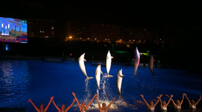 Las Noches del Oceanogràfic brillan con luz propia Noches