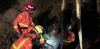 Rescatan a un caballo en Alzira