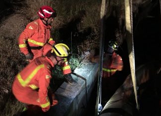 Rescatan a un caballo en Alzira