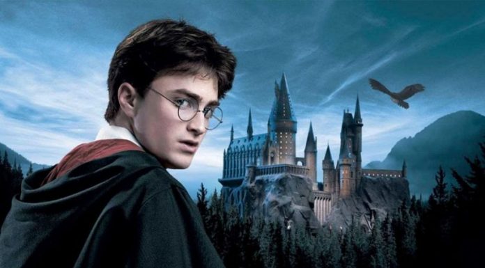 Ja pots viure les aventures de Harry Potter en València Harry