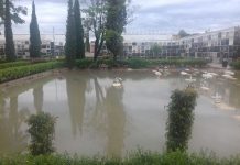 Les pluges torrencials deixen inundacions per tota la província Lluvias torrenciales