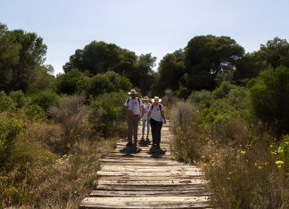 voluntarios