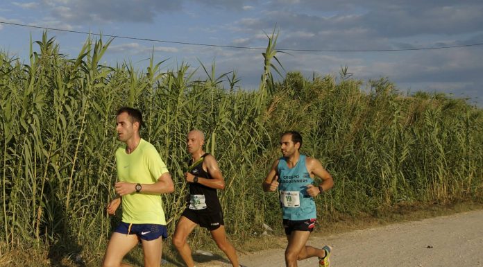 El Circuit Solidari de l’Albufera: una carrera pel medi ambient Circuito