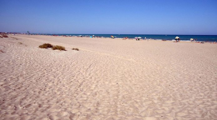 La arena vuelve a Sagunto: arranca la regeneración de unas playas muy castigadas por los temporales La arena vuelve a Sagunto: arranca la regeneración de unas playas muy castigadas por los temporales