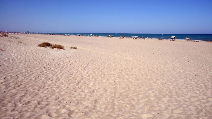 7televalencia-playa-almarda-sagunto La arena vuelve a Sagunto: arranca la regeneración de unas playas muy castigadas por los temporales