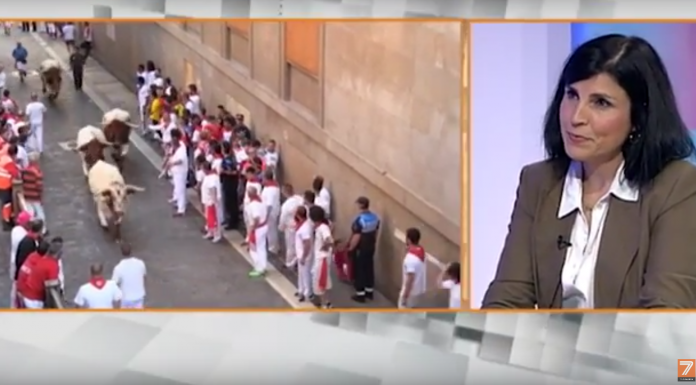 PACMA: «Los Sanfermines son un camino hacia la muerte» PACMA