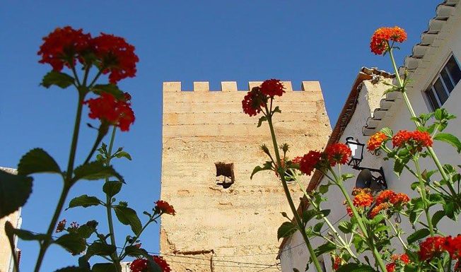 El IVASS oferta 13 puestos de trabajo en Valencia