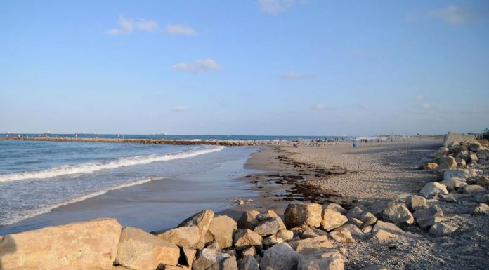 Carriles de nado, el reclamo de los nadadores se instalan en las playas de Valencia nado