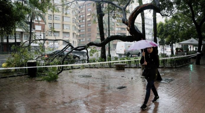 El servei de bombers de València treballa sense descans pels forts vents Bomberos