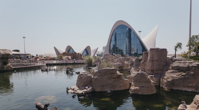 Tripadvisor qualifica l’Oceanogràfic com el segon millor aquari del món