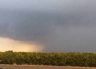 Los pedriscos causan estragos en el campo