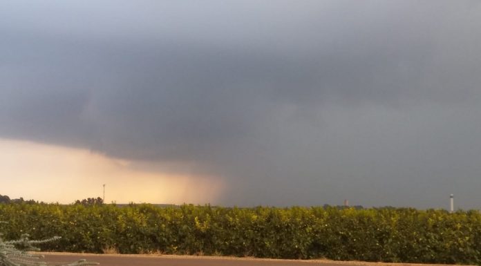 Les pedres d’inici de setmana afecten a unes 9.500 hectàrees de cultiu en diverses comarques Los pedriscos causan estragos en el campo