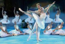 El lago de los cisnes