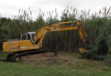 Quart de Poblet inicia una nueva campaña de restauración ecológica en el Parque Fluvial del Túria Parque Fluvial del Túria