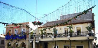 Muere un canario en San Vicent del Raspeig