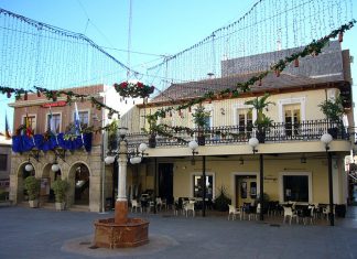 Muere un canario en San Vicent del Raspeig