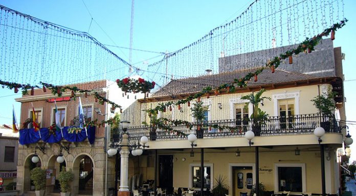 El canario que murió por el ruido de una mascletà Muere un canario en San Vicent del Raspeig