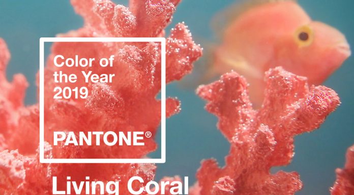 El «Living Coral» serà el color tendència del nou any color