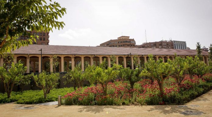 El Parc Central obri a la fi les seues portes al públic parque central