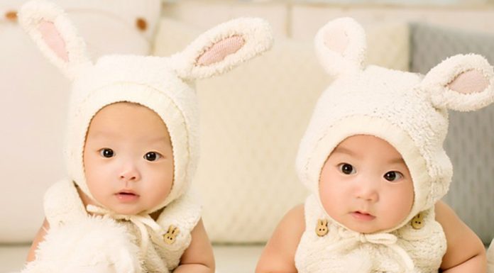 Grupos de bebés bailarán, cantarán e interpretarán en el Palau de Les Arts Actuaciones para bebés