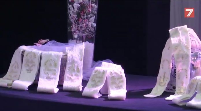 Las medias de Sara Larrazábal y su Corte de Honor calçes