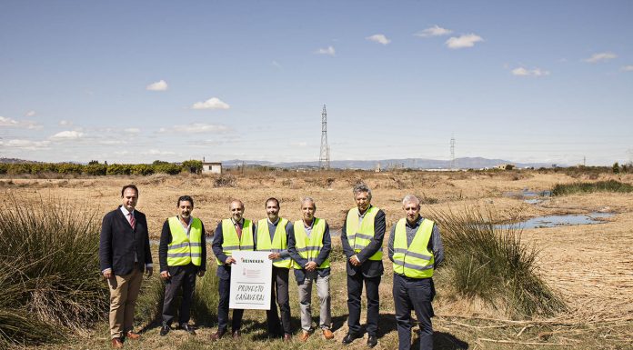 La Albufera cambiará las cañas por plantaciones para elaborar cerveza