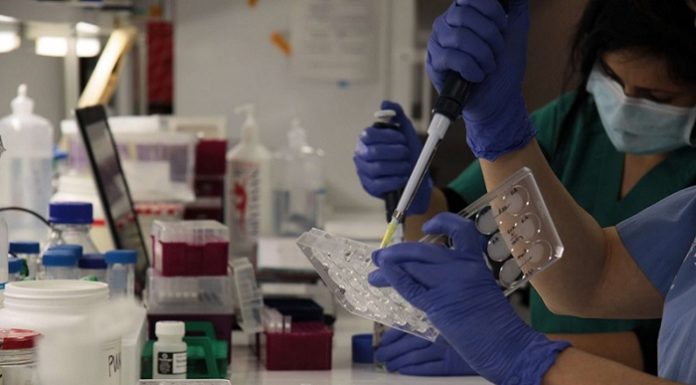 La Fe recibe 2.200.231 euros para financiar proyectos de investigación Investigación en La Fe