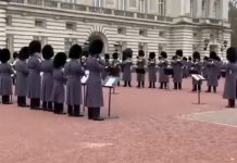 Premio en los Globos de Oro a Bohemian Rapsodi