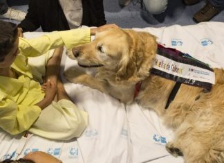 Perro Zenit en la UCI