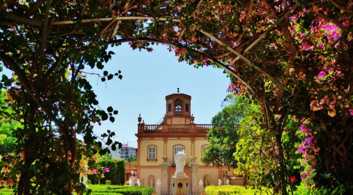 Els meteoròlegs alerten d’una primavera més calorosa del normal primavera