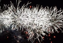 Estos son los mejores planes para noviembre en Valencia