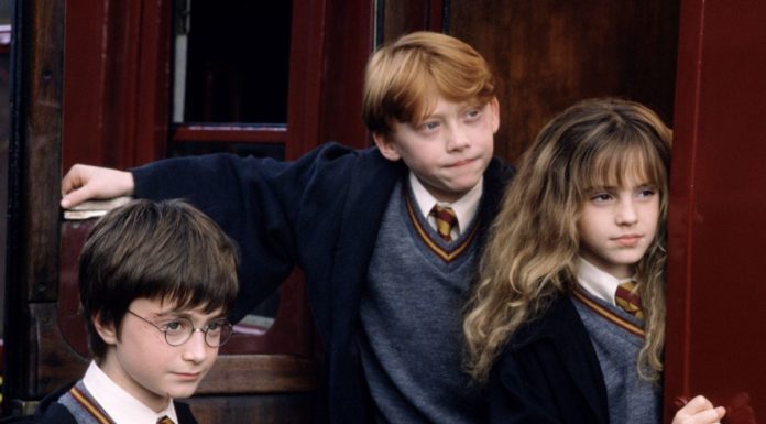Harry Potter torna al cinema Harry
