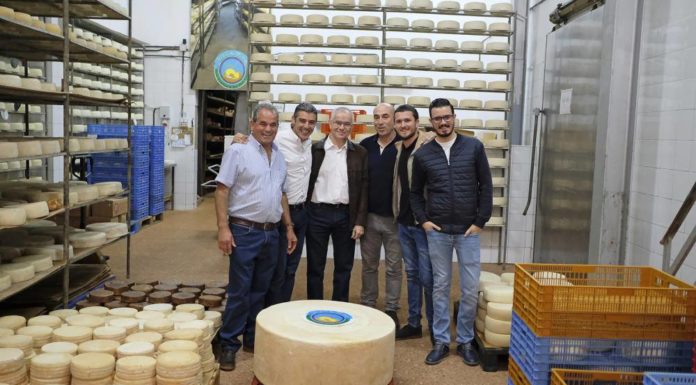 El queso más grande del mundo se comerá en Valencia