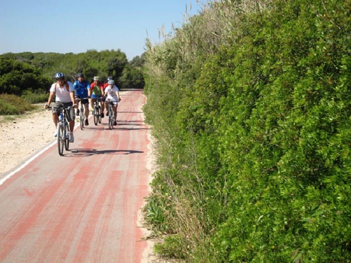 Elástico Visión Fábula Las 5 mejores rutas en bicicleta para disfrutar en familia | 7TeleValencia