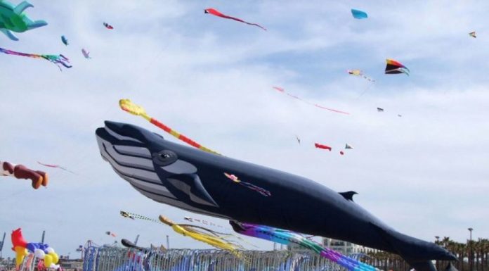 Valencia celebra hoy el festival de cometas: horas, lugar y actividades