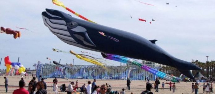 Los planes más interesantes que no debes perferte el fin de semana