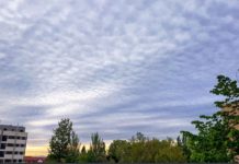 València viurà un divendres calorós propi de l’estiu