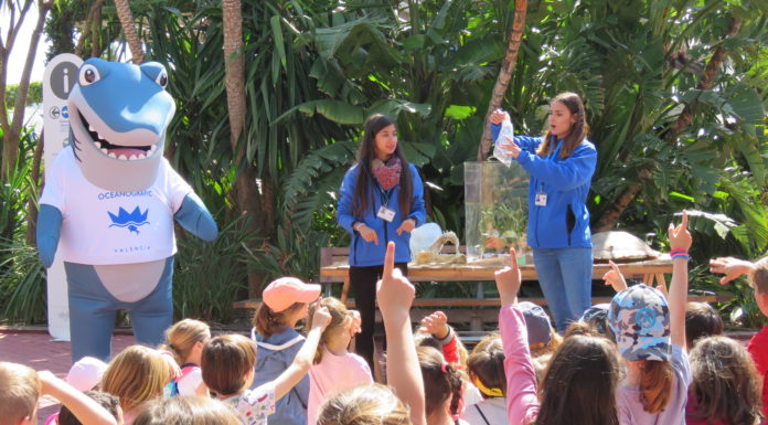 L’Oceanogràfic se submergeix en el Formigues Festival formigues