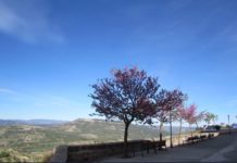 Les temperatures mantenen la línia ascendent a València