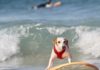 Quatre platges canines per a gaudir sense eixir de València perro