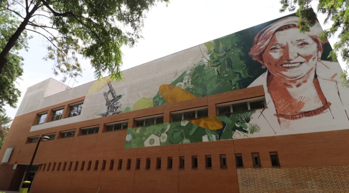 Arte para visibilizar a las mujeres en la ciencia