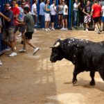 Muere un hombre de Meliana tras ser cogido por un toro en 'bous al carrer'