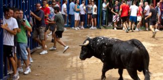 Muere un hombre de Meliana tras ser cogido por un toro en 'bous al carrer'