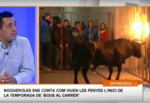 El decreto de los «bous al carrer» en juego con el nuevo gobierno del Botànic