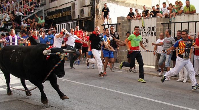 Suspenden la fiesta del Torico de la Cuerda de Chiva por un error municipal torico