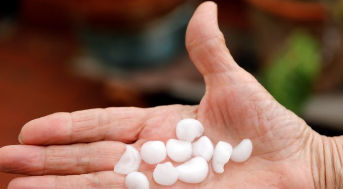 El pedrisco deja pérdidas en los 5 millones en el campo valenciano