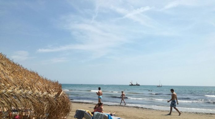 Les màximes aconseguiran els 20 °C calor