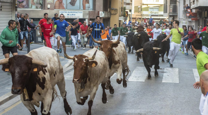 Los bous al carrer retoman su actividad tras un año de pausa en los municipios valencianos bous