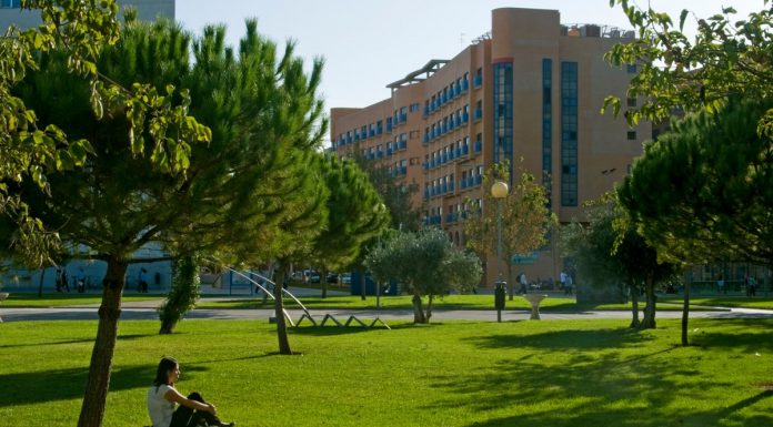 Detectan un brote de sarna en una residencia universitaria de Valencia